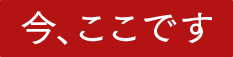 今、ここです